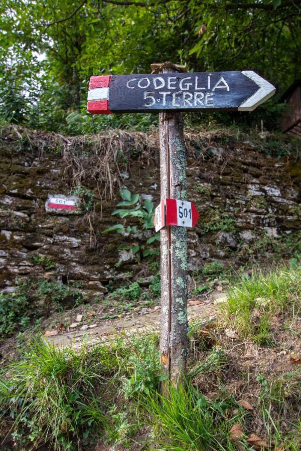 ריקו דל גולפו די ספאציה Near - Cinque Terre Holiday Apartment מראה חיצוני תמונה